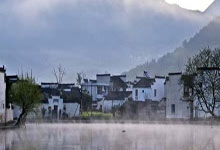小清干茶叶口感评测(小清干茶叶口感评测分析)